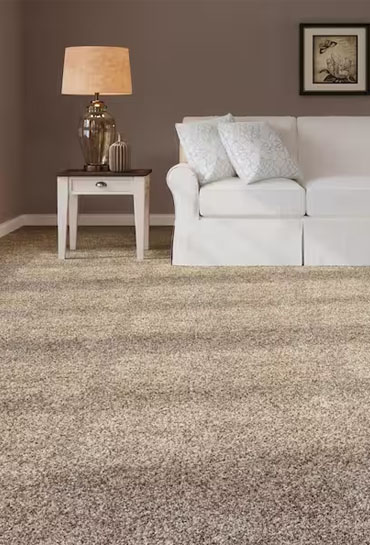 Carpet-home